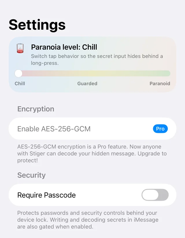 Stiger's Settings screen: the paranoia level banner, then the encryption toggle and password field.